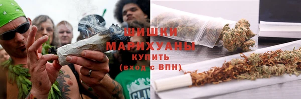 ГАЛЛЮЦИНОГЕННЫЕ ГРИБЫ Алексин